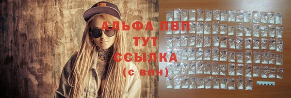 тгк Инта