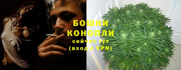 таблы Инсар